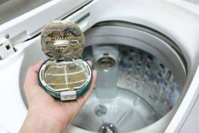 Scale deposits inside a washing machine pump filter from California hard water